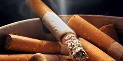 tabaco_0